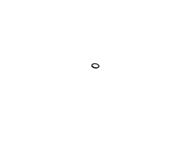 O-ring OR